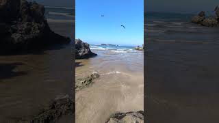 beach essaouira travel mogadortravel mogador morocco fish explore اكسبلور relles [upl. by Sairu663]