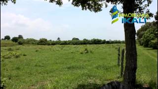 Rancho de 10 hectareas en venta [upl. by Heymann937]