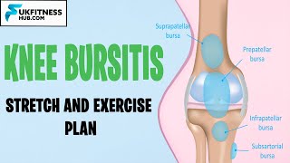 Knee Bursitis Stretches and Exercises Plan Pes Anserine Prepatellar Suprapatellar Infrapatellar [upl. by Niotna]