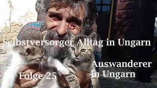 Selbstversorger Alltag in Ungarn 25 Auswanderer in Ungarn [upl. by Aral]