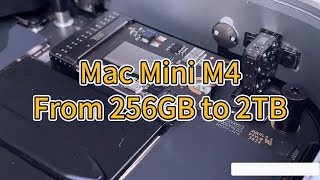 brand new Mac Mini M4 upgrade from 256GB to 2TB Almost failed [upl. by Ayekal]