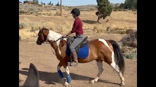 Trail Horse Training [upl. by Nyla924]