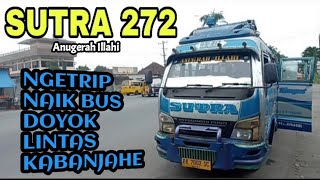 LARINYA KESETANAN Naik Bus Doyok quotSUTRA 272quot Duduk Diatas Atap Bus [upl. by Kary74]