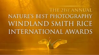 2016 Natures Best Photography Awards [upl. by Gytle]