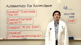 Immunoprecipitation with SerumPlasma Starting Sample [upl. by Karylin972]