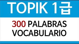 TOPIK 1급  300 PALABRAS VOCABULARIO en español [upl. by Ahcsrop825]