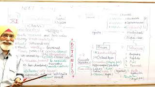 CH  4 ANIMAL KINGDOM  PHYLUM  CHORDATA  CLASS  OSTEICHTHYES  CLASS  XI  NEET BIOLOGY NCERT [upl. by Esinet]