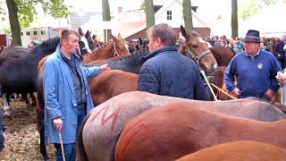 Paardenmarkt Zuidlaren 2017 [upl. by Keen]