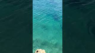 Transparent Blue sea water in Brindisi Italy explore travel sea inspiration Италия [upl. by Niliac]