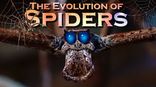 EVOLUTION of SPIDERS [upl. by Tim]