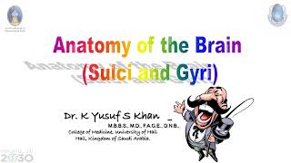 Anatomy of Cerebrum  Dr Yusuf [upl. by Kcirdlek]