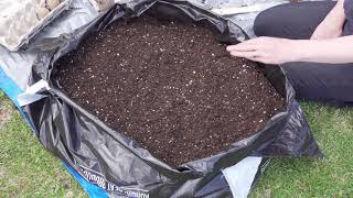 Planting Potatoes Determinate and Indeterminate in Grow Bags [upl. by Namrehs]