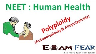 NEET Biology Human Health  Polyploidy autopolyploidy and Allopolyploidy [upl. by Richardson]