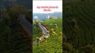 top tourist places in Kerala kerala munnar allappvideo [upl. by Knighton652]