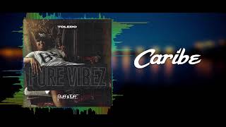 Toledo  Caribe Pure Vibez 2019 [upl. by Hemminger]