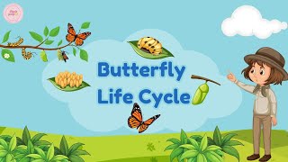 The Butterfly Life Cycle for Kids  Four Stages of the Butterfly Life Cycle  Science For Kids [upl. by Cheslie]