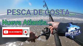 PESCA DE COSTA en Nueva Atlantis Equipos líneas y carnadasOTRA BALLENA ENCALLADA [upl. by Fiore]