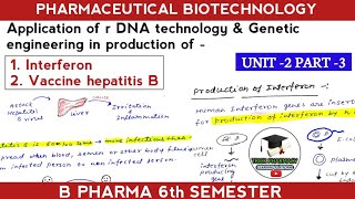 Production of interferon vaccine hepatitis B  biotechnology 6th semester [upl. by Roselane]