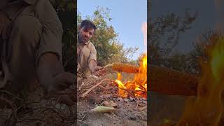 Natures Fire Unforgettable Grilled Corn Experience cooking shorts shortvideo shortvideos 😋😋😋😋 [upl. by Sorci]