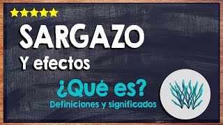 🙏 ¿Qué es el Sargazo  Definición y Efectos del Sargazo 🙏 [upl. by Gram]