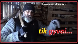 Atsakymai  gyvai atvykusiems [upl. by Fadil]