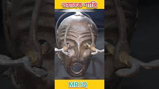 ভয়ানক শাস্তি। Mr IQ । shorts assamese assam assamesevideo assamesenews [upl. by Sanson]