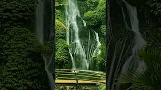 Refreshing mind enjoy exotic cascade Banyumala in the heart of Paradise Island shorts waterfalls [upl. by Forester]