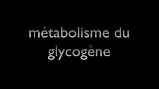 métabolisme du glycogène  glycogénolyse  glycogénogénèse et sa régulation [upl. by Clem]