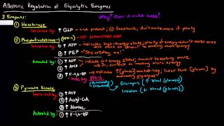 Glycolysis Part 3 of 3  Allosteric Regulation [upl. by Oidiple]