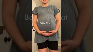 38 weeks pregnant belly bellyprogression [upl. by Halstead]