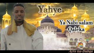 Qassaid yahye Abdulkadir salawad 2023 somalientertainmentt WaqalStudio [upl. by Jabe]