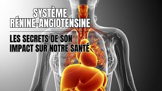 Les Secrets du Système RénineAngiotensine Dévoilés [upl. by Ennaxxor355]