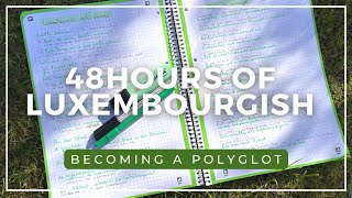 Learning a language in 48h Studying Luxembourgish from FRENG  PART 1  Becoming a Polyglot [upl. by Flatto]