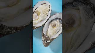 How Do Oysters Make Pearls 🤔 [upl. by Quinton]