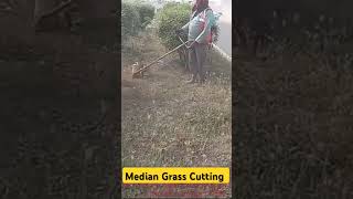 Median Grass Cutting shorts trending youtubeshorts viralvideo shortvideo grasscuting 2024 1k [upl. by Aniraz]