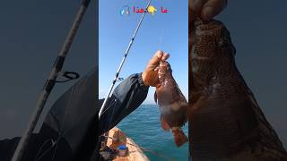 ماذا تسمونها في منطقتكم maroc pêche [upl. by Helbon]