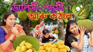 Dalimi  Podumi Aru Kothal Jackfruit  Assamese comedy video  Assamese funny video [upl. by Shelden322]