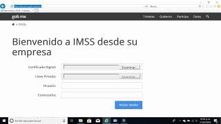 Configuración de acceso IDSE IMSS [upl. by Hutchison]