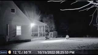 THIS IS THE MOST ALARMING FOOTAGE EVER CAPTURED ON A RING CAM [upl. by Radec]