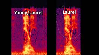 Yanny  Laurel  Removing HighLow Frequencies [upl. by Monreal]