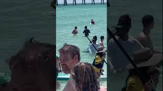 Shark gets close to swimmers at Navarre Beach in Florida [upl. by Eivlys]