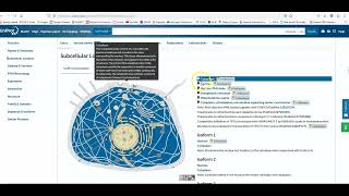 Uniprot Tutorial 3 [upl. by Luing]