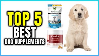 Top 5 Best Dog Supplements  Extreme Reviewer [upl. by Auqenes]