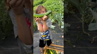 Garden tips and information gardening with kids gardening homestead [upl. by Nitsir795]