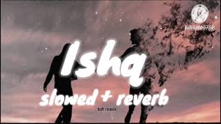 Mein Aa likhu tu Aa jaye  slowed  reverb  lofi remix 🎧 🎵 [upl. by Kcyrred991]