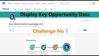 Display Key Opportunity Data Data Standardization Superbadge Unit [upl. by Copp]