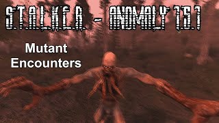 STALKER  Anomaly 151  Mutant Encounters [upl. by Ynaitirb540]