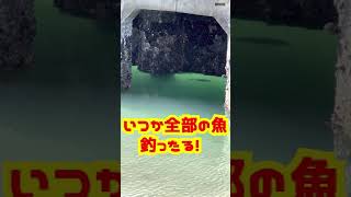 シーバスやチヌがたくさん居るのになんで釣れんのや！お魚天国の 三重県四日市港、霞埠頭 大きな魚ウヨウヨいましたw [upl. by Nipsirc]