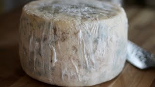 How To Make A WheyCultured ManchegoStyle Cheese [upl. by Alemap]