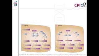 CPIC guideline for Ondansetron Tropisetron and CYP2D6 [upl. by Koah654]